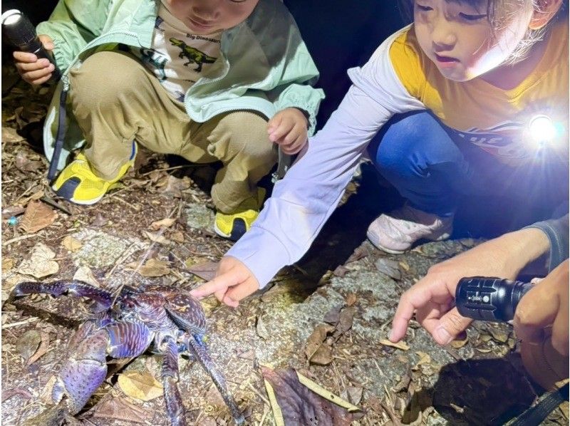 【宮古島・ターザンガイドがご案内‼︎】星空&ジャングルナイトツアー☆《12歳未満は子供料金‼︎当日歓迎♪体験60分》の紹介画像