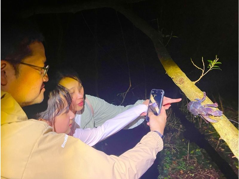 【宮古島・ターザンガイドがご案内‼︎】星空&ジャングルナイトツアー☆《12歳未満は子供料金‼︎当日歓迎♪体験60分》の紹介画像