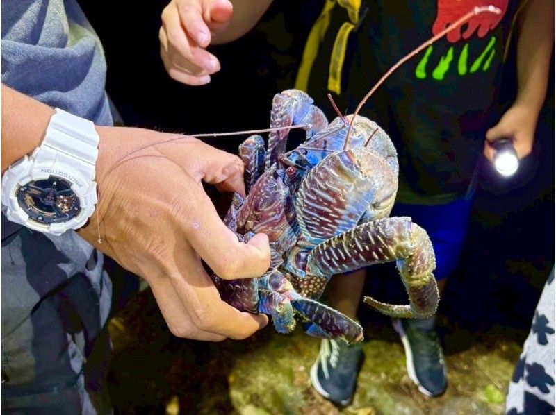 【宮古島・ターザンガイドがご案内‼︎】星空&ジャングルナイトツアー☆《12歳未満は子供料金‼︎当日歓迎♪体験60分》の紹介画像