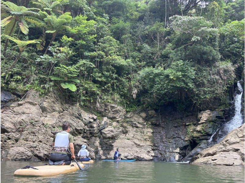 [Okinawa/Yanbaru] A great adventure through the world natural heritage sites! jungle sup tourの紹介画像