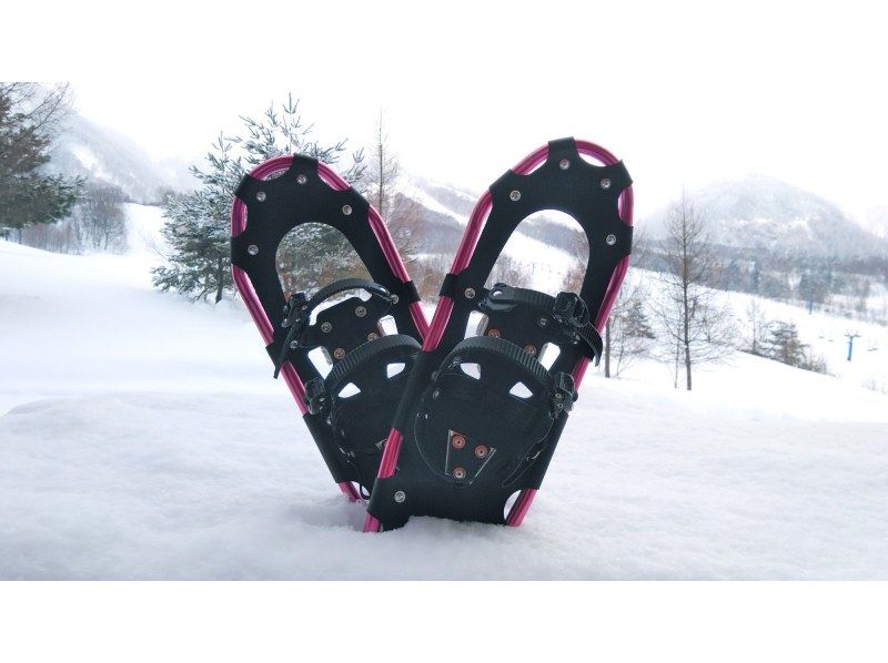 【長野・信濃町】黒姫高原御鹿池でスノーシュー　午後からのスノートリップ３時間体験の紹介画像