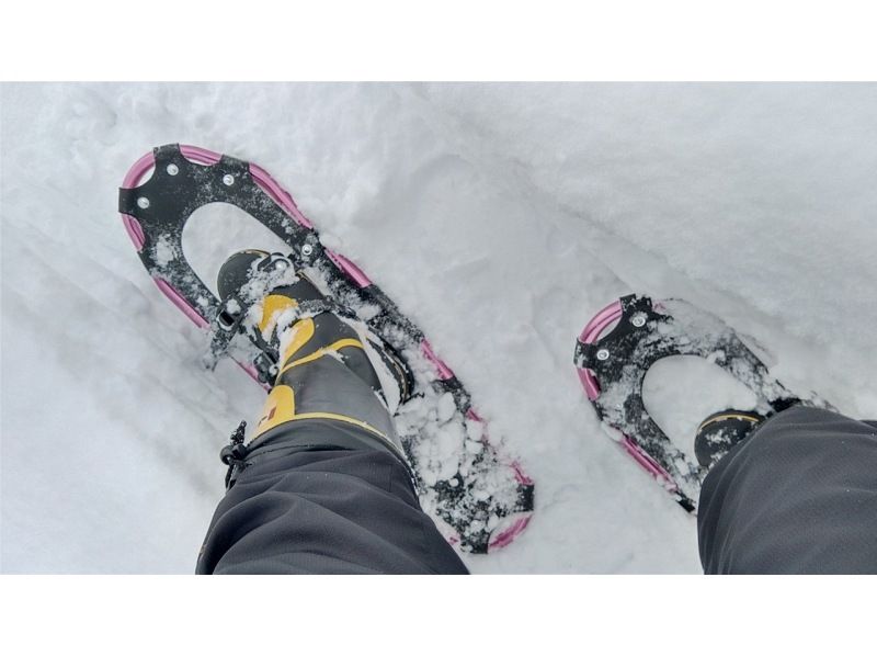 【長野・信濃町】黒姫高原御鹿池でスノーシュー　午後からのスノートリップ３時間体験の紹介画像