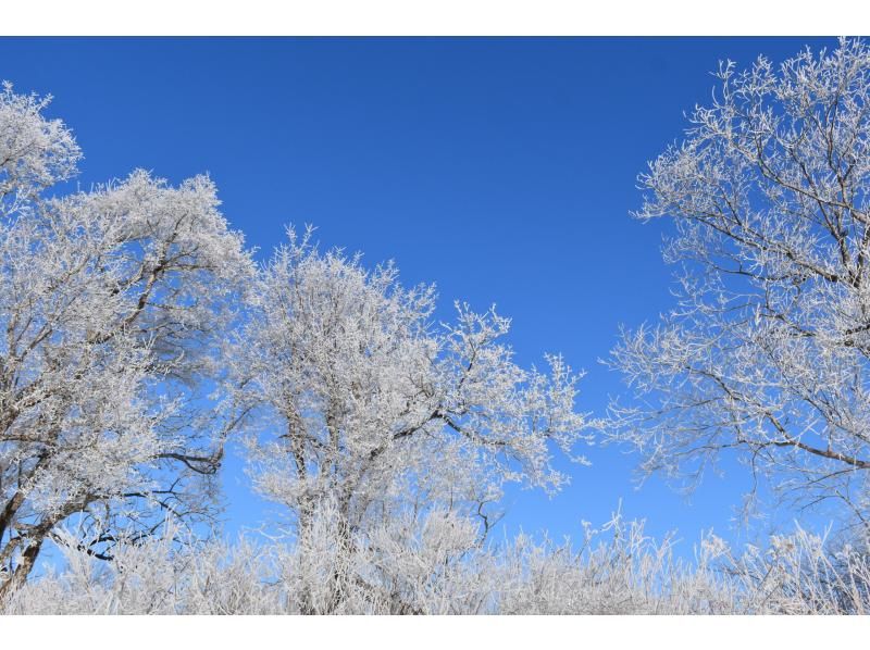 [北海道/釧路]冬季限定！冬季獨木舟&觀鳥之旅|釧路濕原|享受大自然的魅力♪の紹介画像