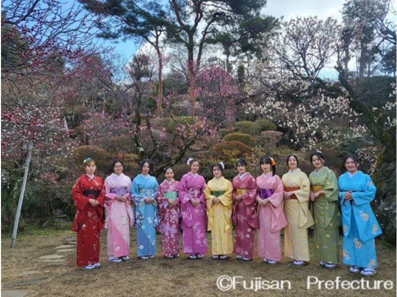 ～Fujisan Culture Gallery～ Kimono experience / No need to worry about time! Outing plan: 5 hoursの紹介画像