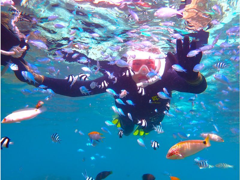 Super Summer Sale 2024♪♪《Single person gathering!》 [Snorkeling tour at the "Natural Aquarium" where sea turtles and many fish live] ☆ Free pick-up and drop-offの紹介画像