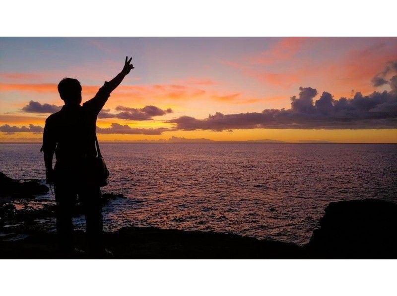 ナイトダイビングに参加しませんか？の紹介画像