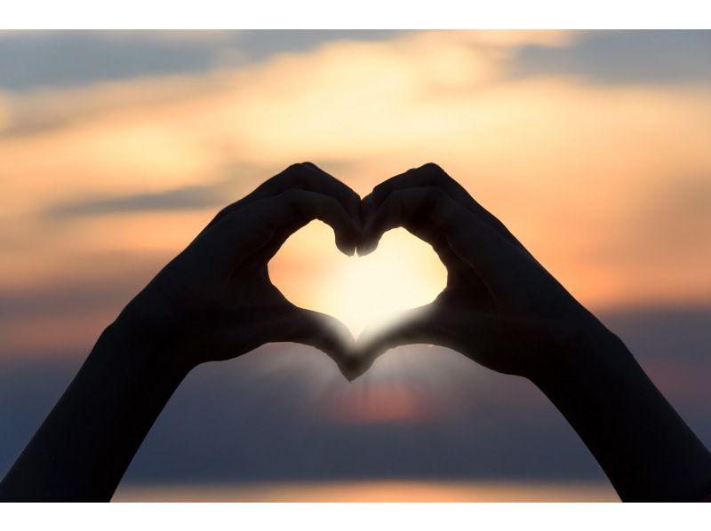 ナイトダイビングに参加しませんか？の紹介画像