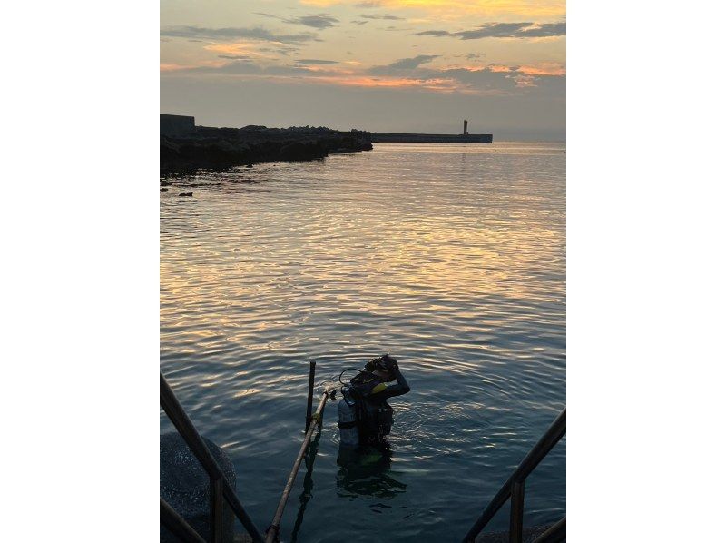 ナイトダイビングに参加しませんか？の紹介画像