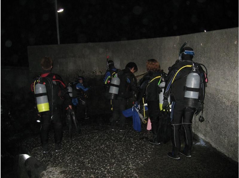 ナイトダイビングに参加しませんか？の紹介画像