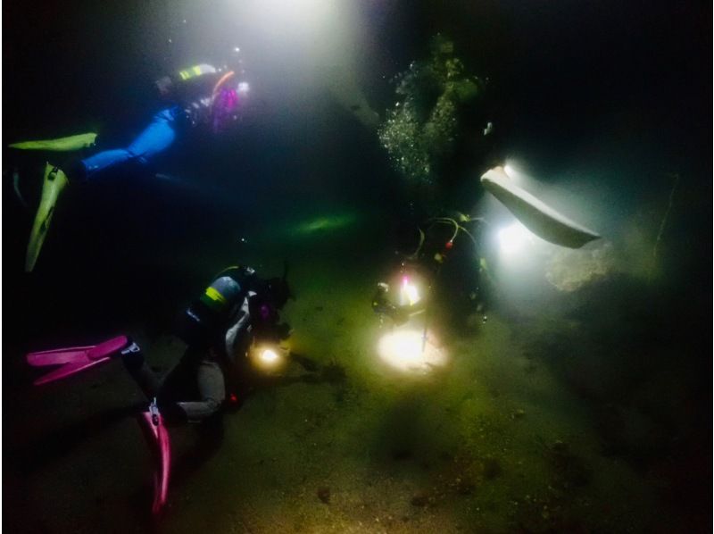 ナイトダイビングに参加しませんか？の紹介画像