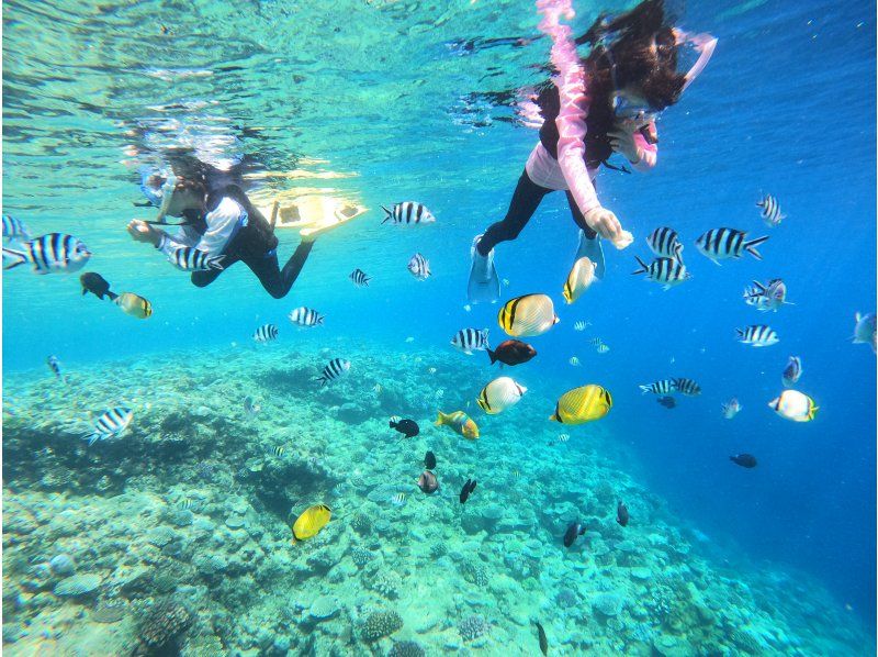 [Chatan, Okinawa] Photo and video present! Boat snorkeling! Let's go see the coral fields! Departing from Chatan, about 2 hours, held 4 times a day, pick-up and drop-off available ※English OKの紹介画像