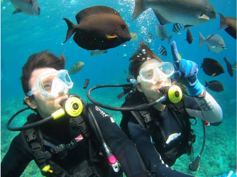 [Chatan, Okinawa] Photo and video present! Boat experience diving! Let's go see the coral fields! Departing from Chatan, about 2 hours, held 4 times a day, pick-up and drop-off available ※English OKの紹介画像