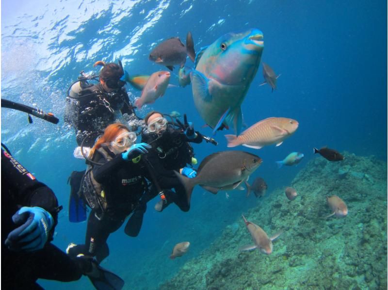 [冲绳/北谷]照片视频礼物！乘船体验潜水！我们去看看珊瑚田吧！北谷出发 / 约2小时 / 1天4次 / 有接送服务 *可以英语の紹介画像