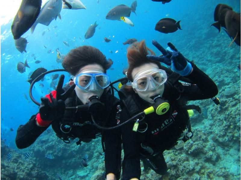 [Chatan, Okinawa] Photo and video present! Boat experience diving! Let's go see the coral fields! Departing from Chatan, about 2 hours, held 4 times a day, pick-up and drop-off available ※English OKの紹介画像