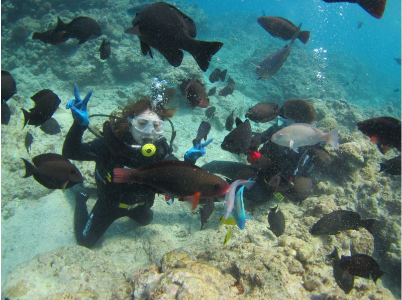 [沖繩/北谷]照片影片禮物！乘船體驗潛水！我們去看看珊瑚田吧！北谷出發 / 約2小時 / 1天4次 / 有接送服務 *可以英語の紹介画像