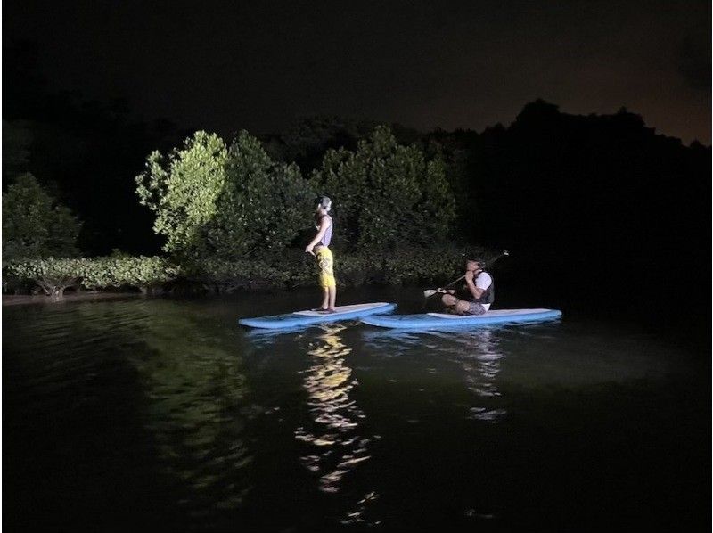 【오키나와 북부・얀바루】「밤」을 즐긴다! 나이트 맹그로브 탐험 투어(150분)の紹介画像