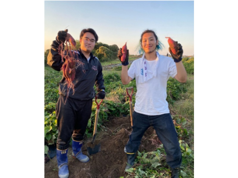 [Miyagi/Osato Town] About 40 minutes by car from Sendai, let's eat a stylish vegan lunch course using vegetables that we harvested ourselves! retreat experienceの紹介画像