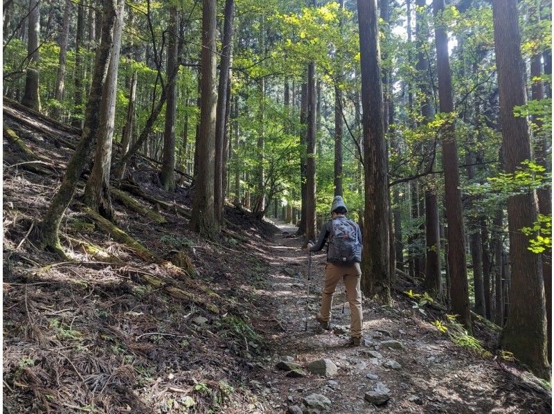 【埼玉・秩父】ひとりから参加できる森歩き！秩父で人気の武甲山をゆっくり歩くハイキングツアー の紹介画像