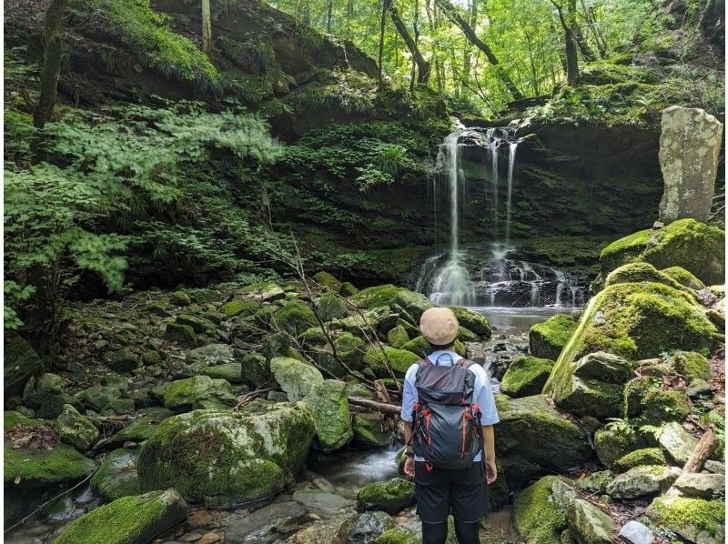 【埼玉・秩父】関東のパワースポット三峯神社へ！静かな表参道をハイキングしながら参拝するツアー 1日1組限定の紹介画像