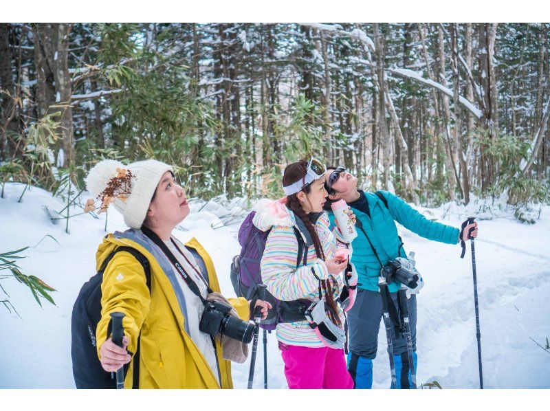 [Hokkaido/Noboribetsu] Limited time for 10 weeks! Snowshoeing tour to explore ice bamboo shoots