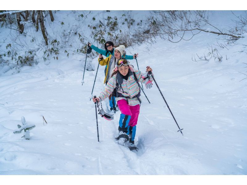 [Hokkaido/Noboribetsu] Limited time for 10 weeks! Snowshoeing tour to explore ice bamboo shoots