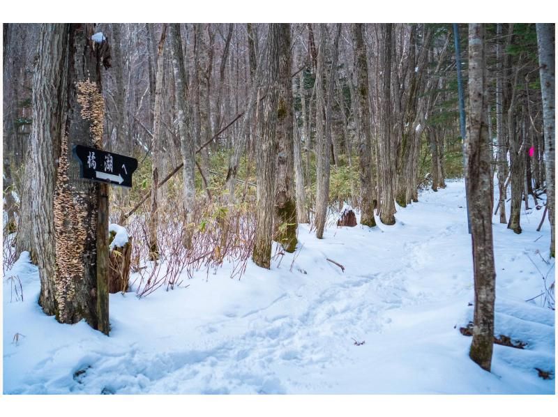 [Hokkaido/Noboribetsu] Unexplored area of ​​Noboribetsu/Lake Tachibana snowshoe tourの紹介画像