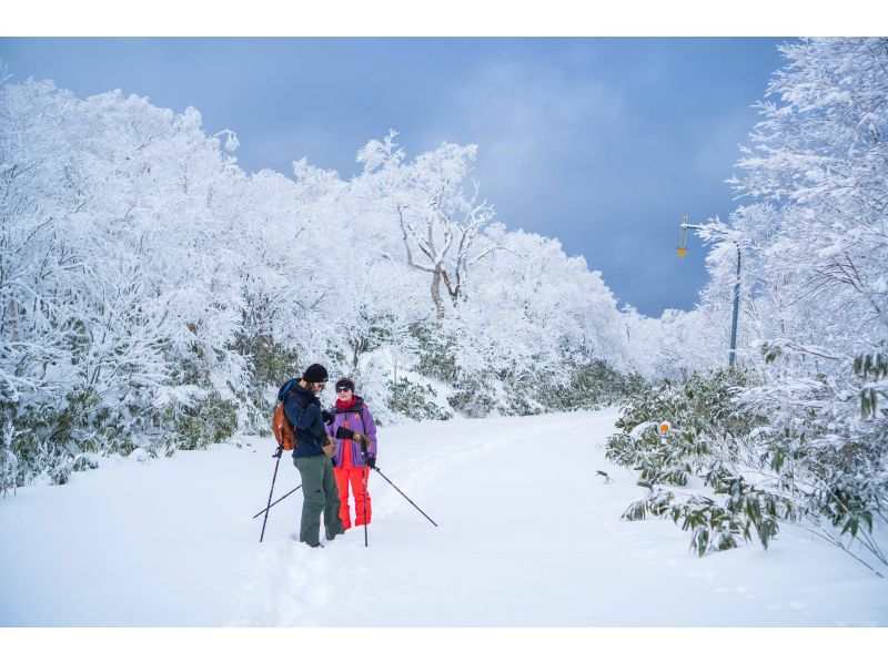 [Hokkaido/Noboribetsu] You might be able to see frost-covered trees! Orofure Pass Snowshoe Tour for Beginnersの紹介画像