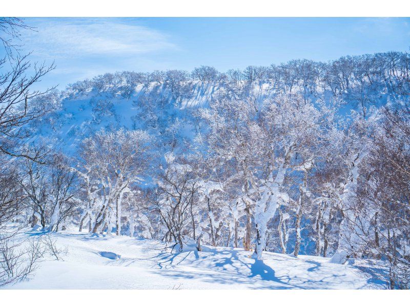 [Hokkaido/Noboribetsu] You might be able to see frost-covered trees! Orofure Pass Snowshoe Tour for Beginnersの紹介画像