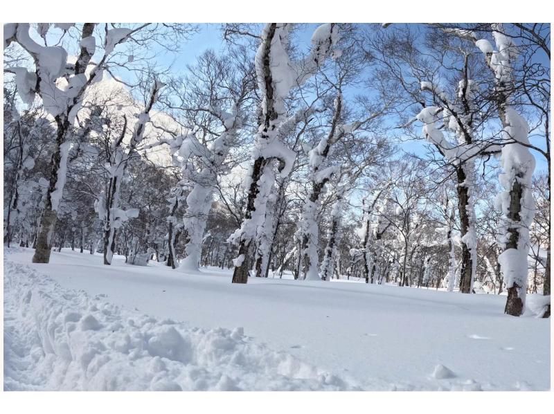 [Hokkaido/Noboribetsu] You might be able to see frost-covered trees! Orofure Pass Snowshoe Tour for Beginnersの紹介画像