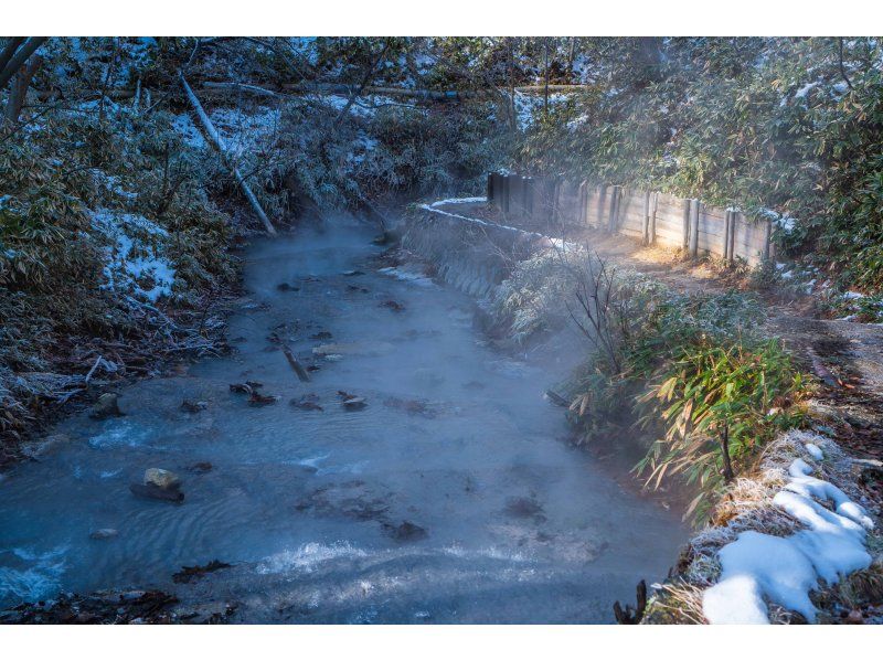 【北海道・登別】大湯沼ビューポイントツアーの紹介画像