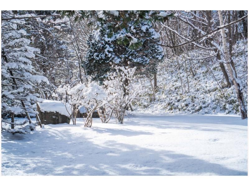 [Hokkaido/Noboribetsu] Enjoy winter! Snowshoe experience for the whole familyの紹介画像