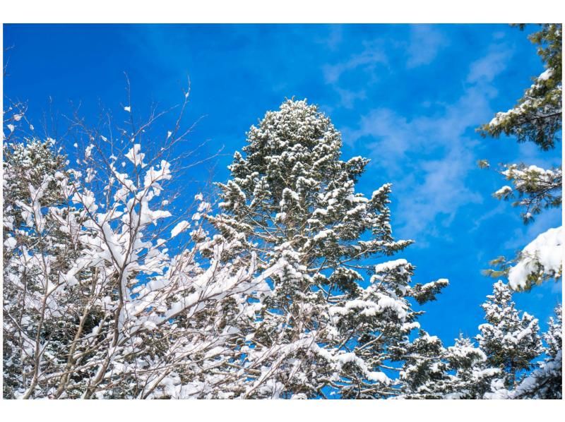 [Hokkaido/Noboribetsu] Enjoy winter! Snowshoe experience for the whole familyの紹介画像