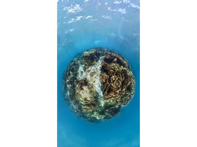 【伊良部島deシュノーケル】宮古ブルーの海の中を満喫しよう！写真・動画付きの紹介画像