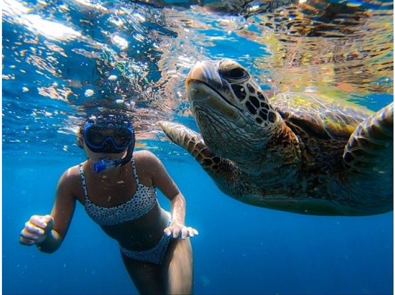 [100% chance of encountering sea turtles for the second year running] ☆ Blue Cave & Sea Turtle Snorkeling ☆ Ages 2 to 70 OK! ︎《Photo data gift》Summer campaignの紹介画像