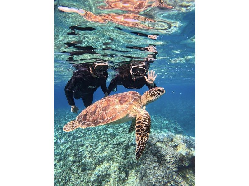 [100% chance of encountering sea turtles for the second year running] ☆ Blue cave & sea turtle snorkeling ☆ Ages 2 to 70 OK! ︎《Photo data gift》Spring sale now onの紹介画像