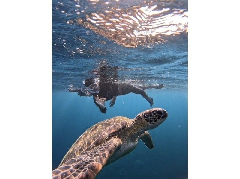 [100% chance of encountering sea turtles for the second year running] Same-day reservations accepted ☆ Blue Cave Sea Turtle Snorkeling ☆ Ages 2 to 70 OK {Free photos} Summer campaignの紹介画像