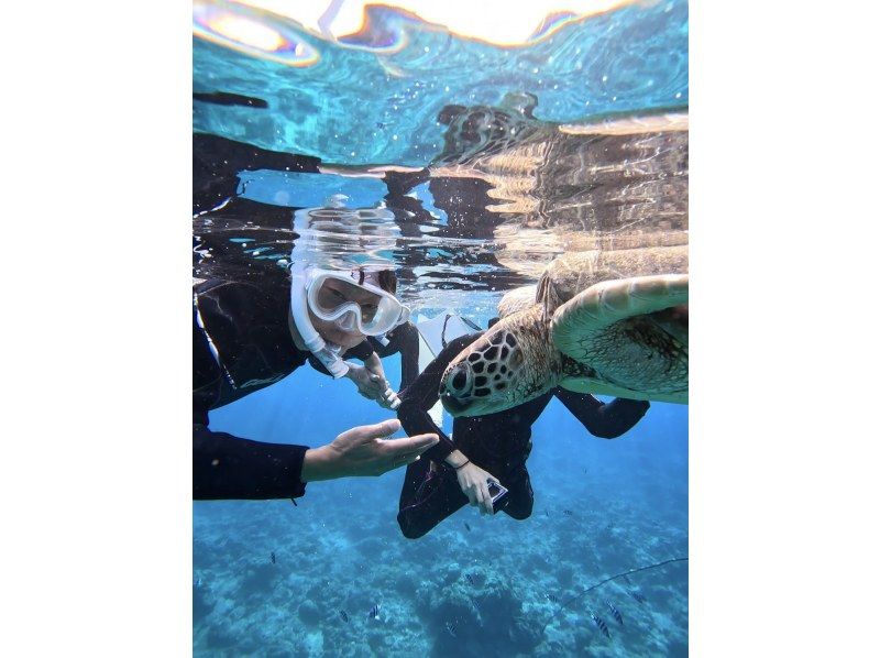 [100% chance of encountering sea turtles for the second year running] Same-day reservations accepted ☆ Blue Cave Sea Turtle Snorkeling ☆ Ages 2 to 70 OK {Free photos} Super Summer Sale 2024の紹介画像