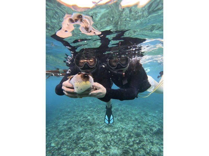 [100% chance of encountering sea turtles for the second year running] Blue Cave & Sea Turtle Snorkeling ☆ Ages 2 to 70 OK {Photo data gift} Super Summer Sale 2024の紹介画像