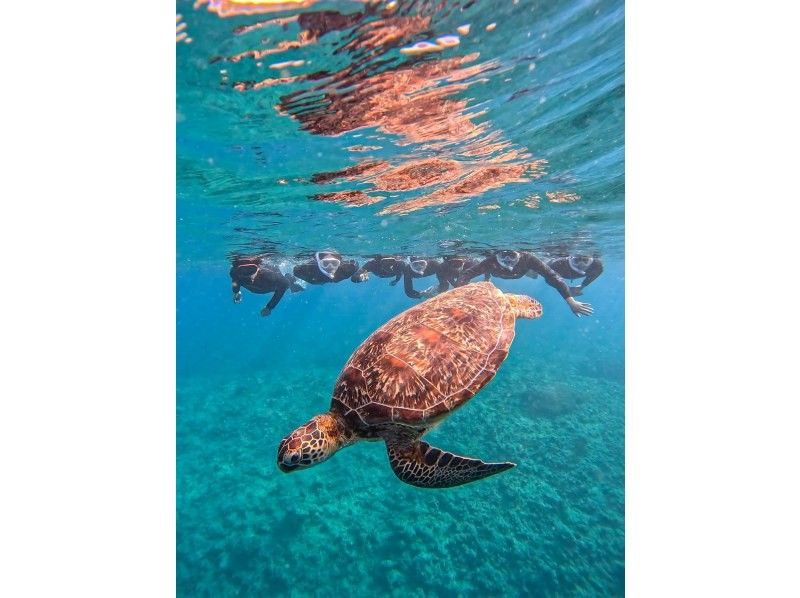 Golden Week Sale [100% chance of seeing sea turtles for three consecutive years] Must-see for those who want to see sea turtles ☆ Blue Cave Snorkeling ☆ Ages 2 to 70 OK {Free photo data} の紹介画像