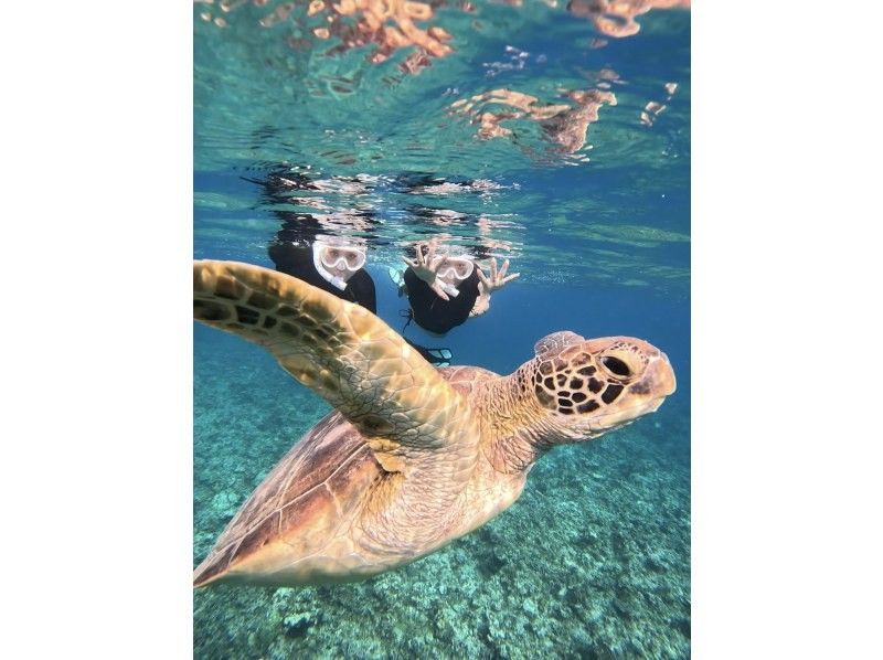 SALE! [100% chance of encountering sea turtles for the second year running] Same-day reservations accepted ☆ Blue Cave Sea Turtle Snorkeling ☆ Ages 2 to 70 OK {Free photos}の紹介画像