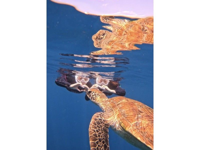 Golden Week Sale [100% chance of seeing sea turtles for three consecutive years] Must-see for those who want to see sea turtles ☆ Blue Cave Snorkeling ☆ Ages 2 to 70 OK {Free photo data} の紹介画像