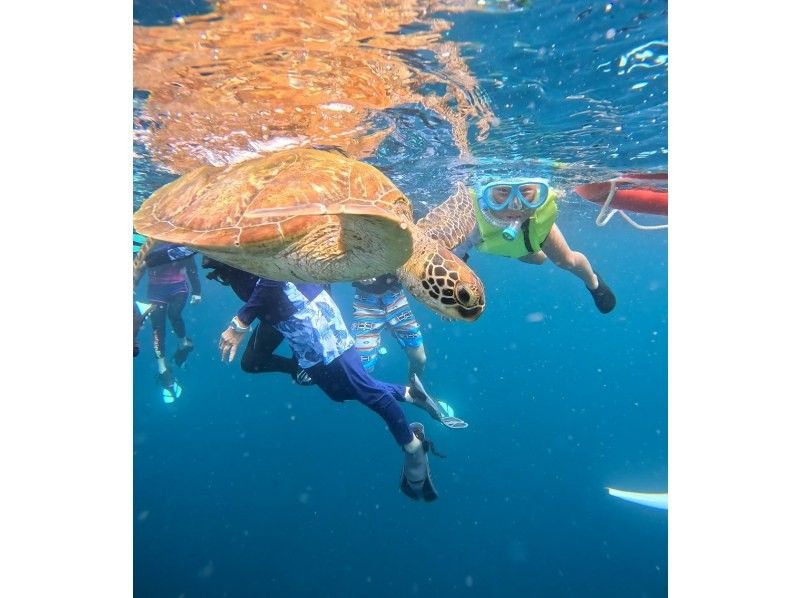 Golden Week Sale [100% chance of seeing sea turtles for three consecutive years] Must-see for those who want to see sea turtles ☆ Blue Cave Snorkeling ☆ Ages 2 to 70 OK {Free photo data} の紹介画像