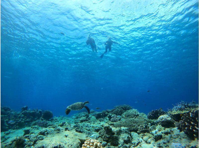 [จากนาฮา] การดำน้ำตื้น(Snorkeling) เกาะเครามะ + แผนสำรวจเต่าทะเล (พร้อมประสบการณ์ปฏิสัมพันธ์กับปลา) [3 ชั่วโมง]の紹介画像