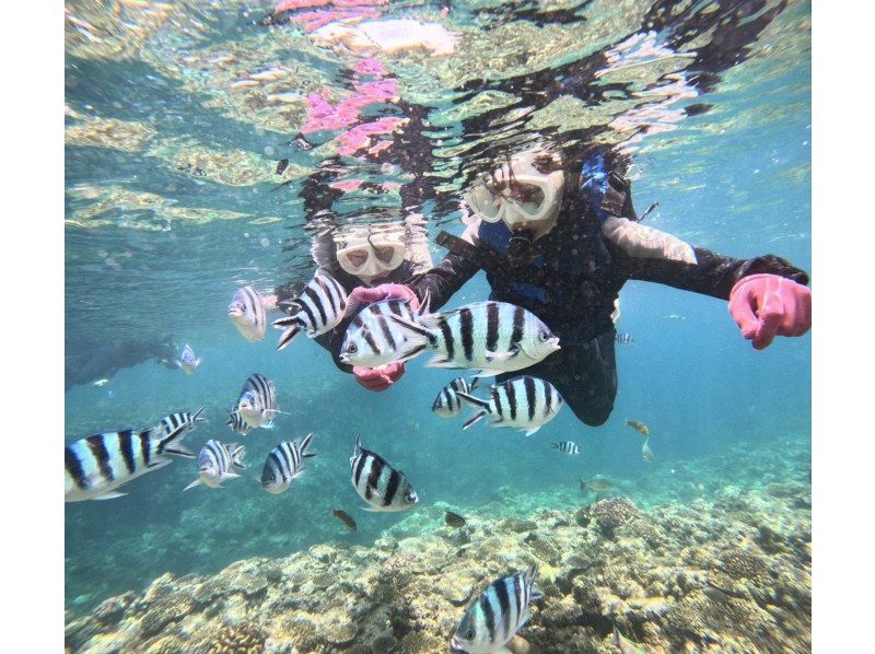 [Okinawa / Onna Village] Snorkeling! Free for preschoolers! Welcome from 1 year old!