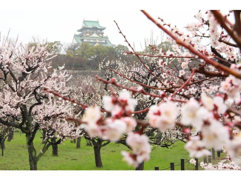 Pilgrimage/Samurai-specific Osaka Castle Guides Private tours in armorの紹介画像