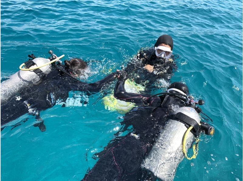 【水納島・瀬底島 】ボート体験ダイビング1本　(10歳から参加OK) 　写真・動画無料プレゼントの紹介画像