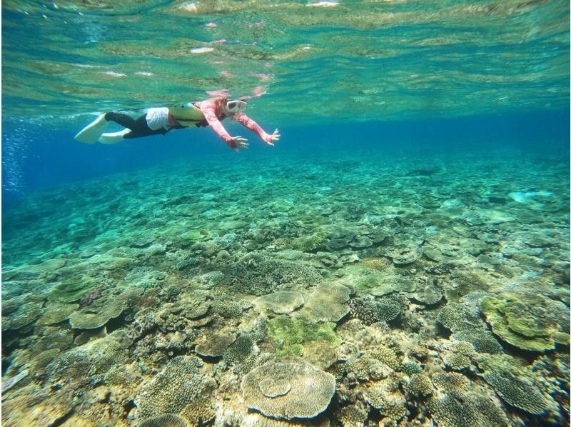 【水納島・瀬底島】ボートシュノーケル2本( 5歳から参加OK) 写真・動画無料プレゼントの紹介画像