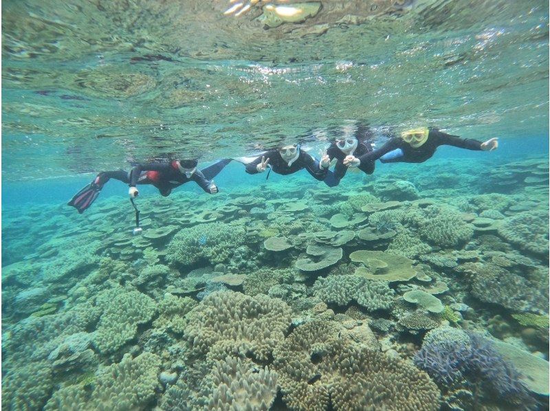 【水納島・瀬底島】ボートシュノーケル2本( 5歳から参加OK) 写真・動画無料プレゼントの紹介画像