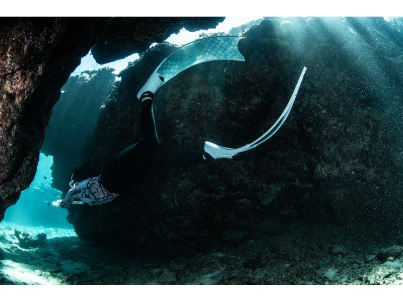 【水納島・瀬底島】ボートスキンダイビング2本　(8歳から参加OK) 写真・動画無料プレゼントの紹介画像
