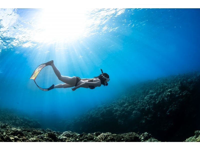 【水納島・瀬底島】ボートスキンダイビング2本　(8歳から参加OK) 写真・動画無料プレゼントの紹介画像